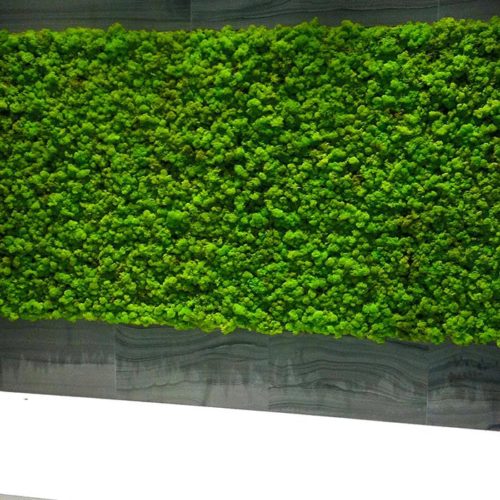 Moss Tiles - Via-Arkadia